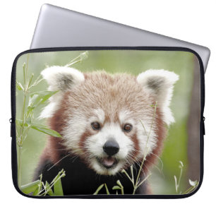 Foto panda, dierlijk laptop hoesjes. laptop sleeve