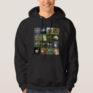 Foto Patchwork Square - Birds Hoodie