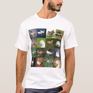 Foto Patchwork Vierkant - Vogels T-shirt