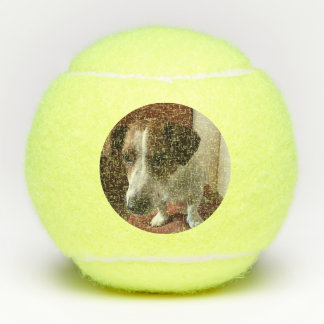 Foto personalisierte Tennis-Bälle Tennisbälle Tennisballen