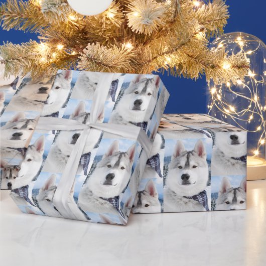 Foto Pet Cadeaupapier (Feestdagen)