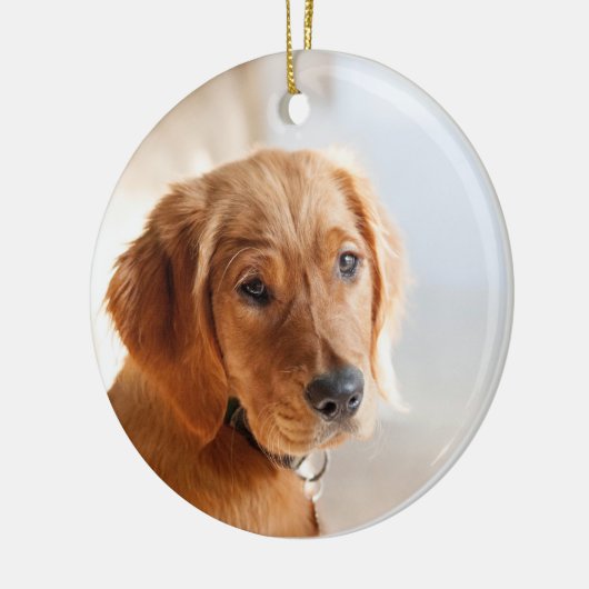 Foto Pet Keramisch Ornament (Links)