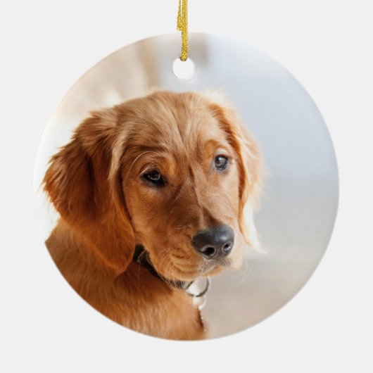 Foto Pet Keramisch Ornament (Achterkant)