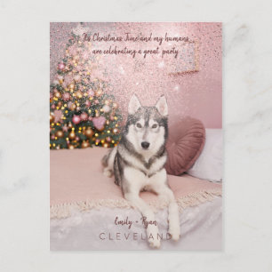 Foto Pet Sophisticated Kerstparty Briefkaart