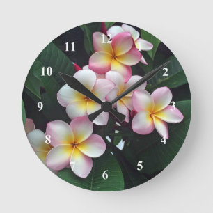 Foto  Pink en Yellow Plumeria Floral Ronde Klok