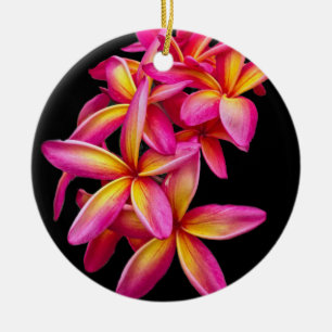 Foto Pink Plumeria Floral Keramisch Ornament