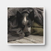 Foto Plaque met Border and Text HAMbWG Fotoplaat (Voorkant)