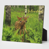 Foto Plaque-Yellowstone Baby Deer Fotoplaat (Zijkant)