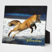 Foto Plaque-Yellowstone Red Fox Fotoplaat (Zijkant)
