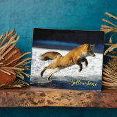 Foto Plaque-Yellowstone Red Fox Fotoplaat (Zijkant)