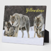 Foto Plaque-Yellowstone Wolves Plaque Fotoplaat (Zijkant)