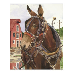 Foto poster, mule afdruk