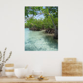 Foto Puerto Rico Poster (Keuken)