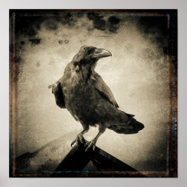  foto Raven Poster