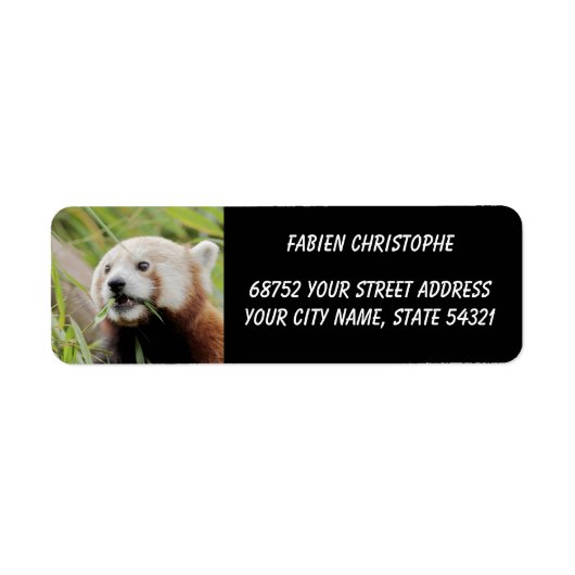 Foto: Red panda, Animal 0531. Etiket (Voorkant)