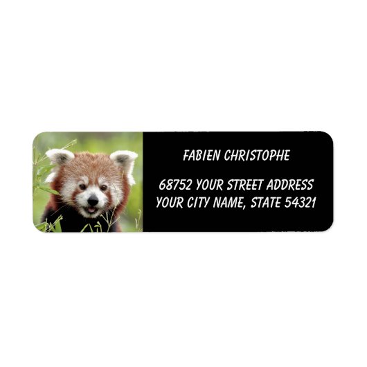 Foto: Red panda, Animal 0533. Etiket (Voorkant)