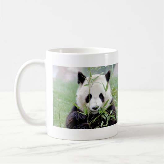 Foto reus panda, animal 0004. koffiemok (Links)