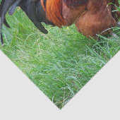 Foto  rood kippenprofiel tissuepapier (Detail)