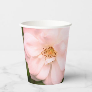 Foto roze en groene ventilator papieren bekers