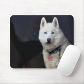 Foto Siberian Husky Muismat (Met muis)