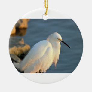 Foto Snowy Egret Keramisch Ornament