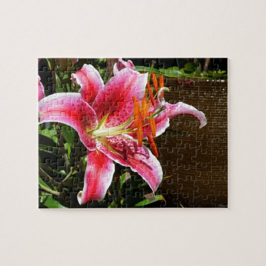 Foto Stargazer Lily Legpuzzel (Horizontaal)