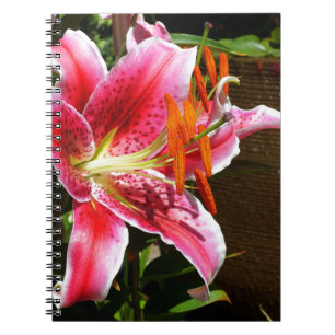 Foto Stargazer Lily Notitieboek