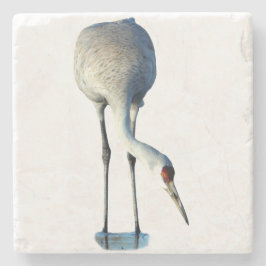 Foto steen coaster van zandkraanvogel stenen onderzetter