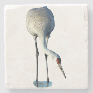 Foto steen coaster van zandkraanvogel stenen onderzetter