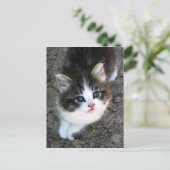 Foto Super Cute Kitten Cat Briefkaart (Staand voorkant)