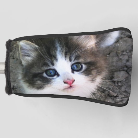 Foto Super Cute Kitten Cat Golfheadcover (Voorkant)