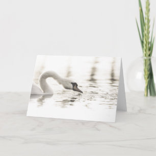 Foto Swan Natuur Kaart