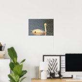 Foto Swan Poster (Thuiskantoor)