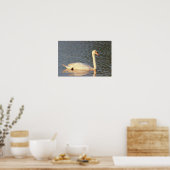 Foto Swan Poster (Keuken)