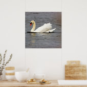 Foto Swan Poster (Keuken)
