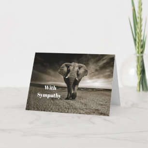 Foto sympathie voor wilde stier olifant kaart
