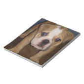 Foto Te, plaatje Notitieblok (Gedraaid)