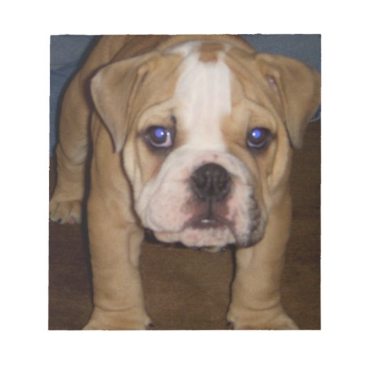 Foto Te, plaatje Notitieblok (Voorkant)