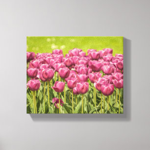 Foto Tulps Field Flower Canvas Afdruk