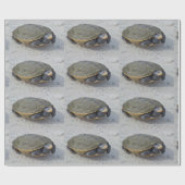 Foto Turtle Cadeaupapier (Vlak)