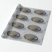 Foto Turtle Cadeaupapier (Uitgerold)