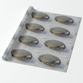 Foto Turtle Cadeaupapier