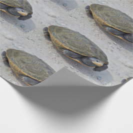 Foto Turtle Cadeaupapier