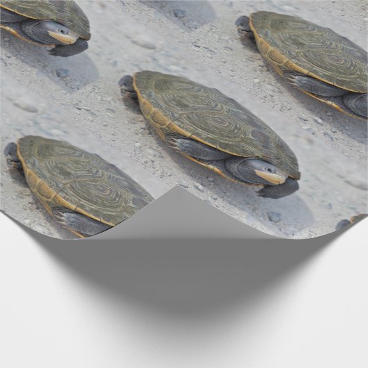 Foto Turtle Cadeaupapier (Hoek)