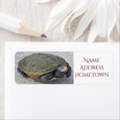 Foto Turtle Etiket (Insitu)