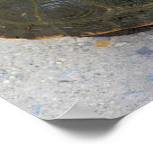 Foto Turtle Poster (Hoek)