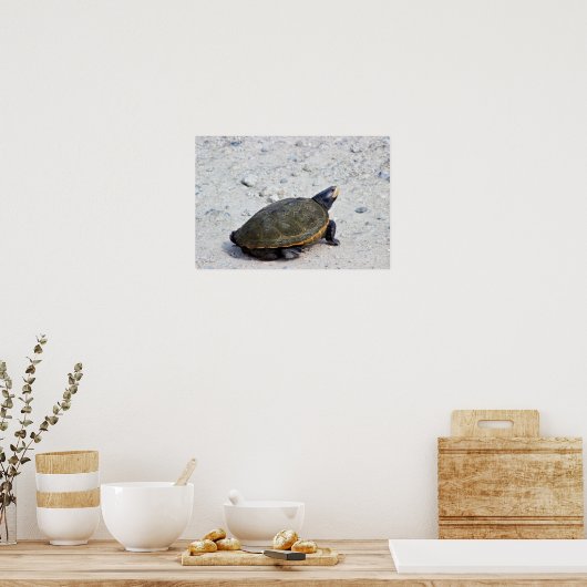 Foto Turtle Poster (Keuken)