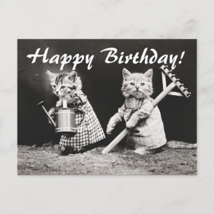  Foto Twee Katten Tuinieren Briefkaart