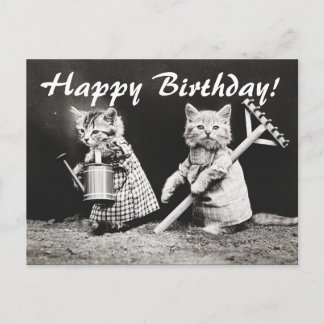 Foto Twee Katten Tuinieren Briefkaart