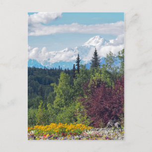 Foto van Alaska Denali Briefkaart